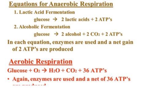 Lactic Acid Fermentation Equation