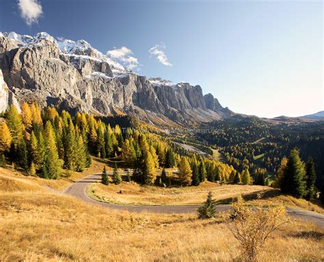 Golden Larches under Mighty Dolomites - Matt Tilghman Photography