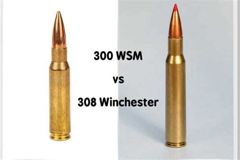 300 WSM vs 308: Who Will Win This Showdown?