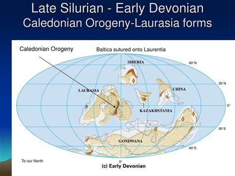 PPT - The Geology of the Paleozoic Era PowerPoint Presentation, free download - ID:4109604