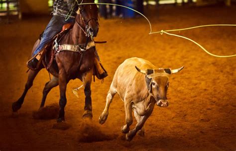 PARKING PASSES ONLY Professional Bull Riders - Velocity Tour Mechanics ...