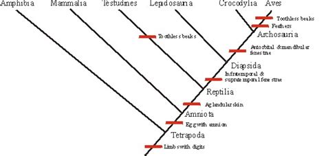 GEOL 104 Lecture 12: Systematics III: Cladistics