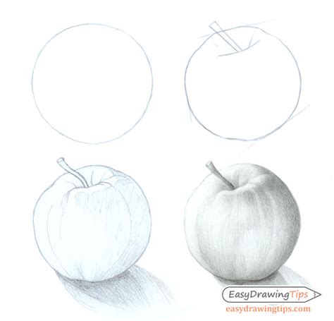 Apple Drawing Images at PaintingValley.com | Explore collection of Apple Drawing Images