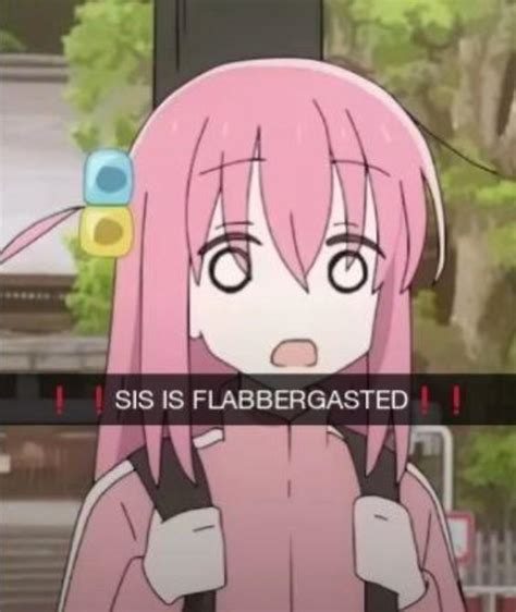 sis is flabbergasted | Bro Is Flabbergasted | Know Your Meme