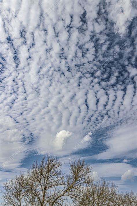 Stratocumulus cloud formation - Stock Image - C059/9825 - Science Photo ...