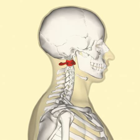 Atlas Adjustment - Ascension Glossary