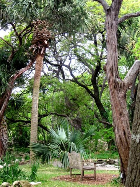 Mayfield Park- Peacocks and Hiking Trails in Austin City Limits : Solo ...