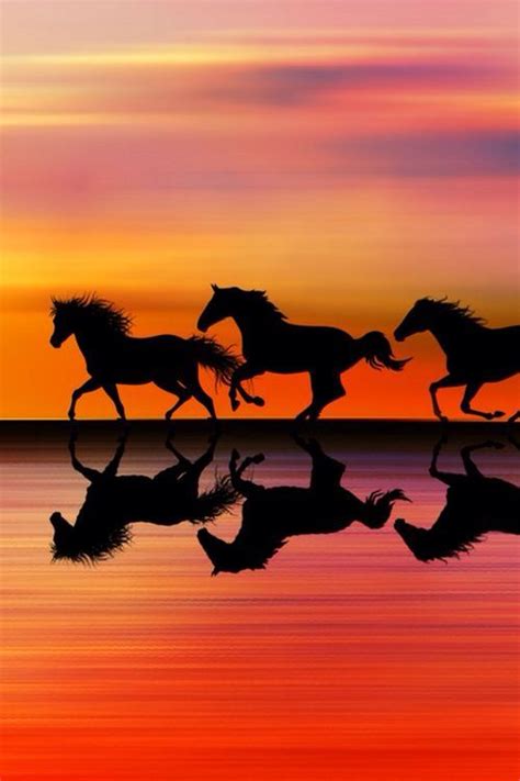 Horses Galloping During Sunset | Horses, Pretty horses, Animals beautiful