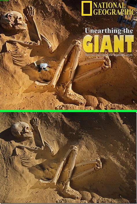 Fake - Another giant skeleton(Fake National Geographic labelling) - The original image from the ...