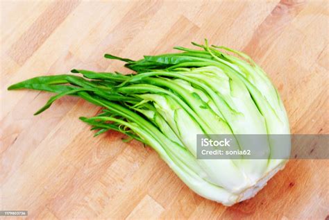 Puntarelle Sudut Tinggi Pemandangan Kecambah Sawi Putih Di Papan Kayu Foto Stok - Unduh Gambar ...