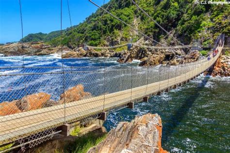 Amazing views of a rough coast meeting beautiful bush - Review of Tsitsikamma National Park ...