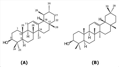 Chemical structure of a-amyrin (A) and b-amyrin (B). | Download ...