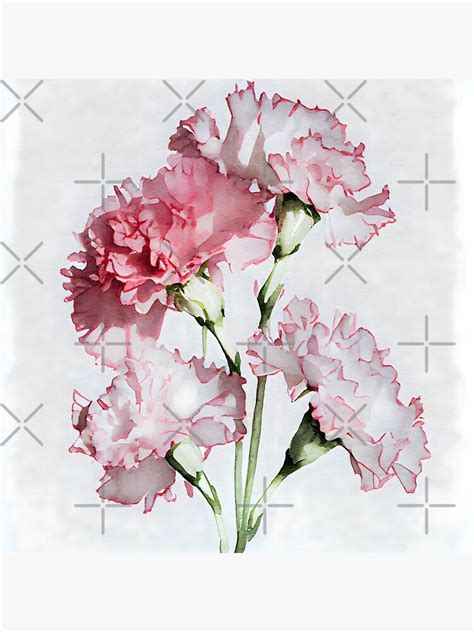 "Pink vintage style carnations and leaves watercolor sympathy thank you ...