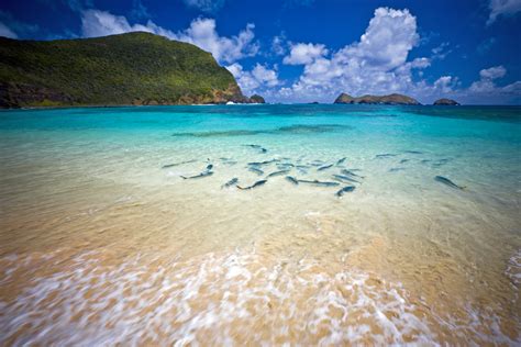 Lord Howe Island: A Nature Lover's Paradise