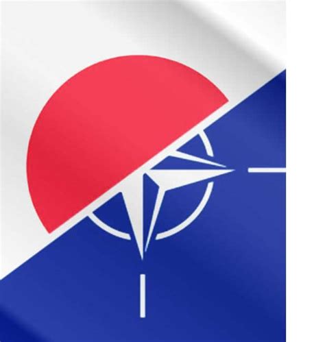 The Next Steps in Japan-NATO Cooperation – Project 2049 Institute