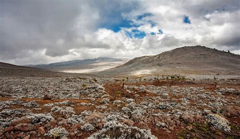 Visit Bale Mountains, Tour pacakge for Bale moutnains Ethiopia