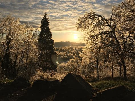 Ice storm Eugene Oregon : pics