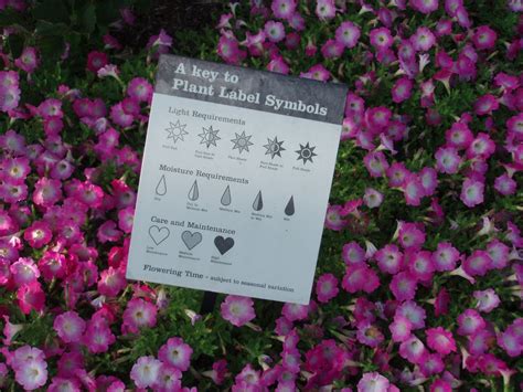 Plant Label Symbols | Teresa Hsu | Flickr