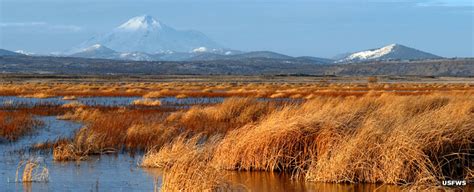 Tule Lake National Wildlife Refuge