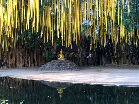 Quiet Meditation Area of a Temple in Northern Thailand Stock Image ...