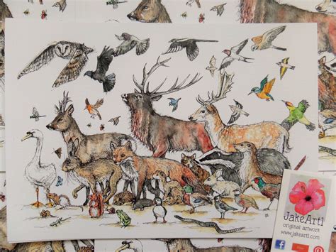 Wildlife original art print, British Wildlife art prints, Animal lover's gift, animals original ...