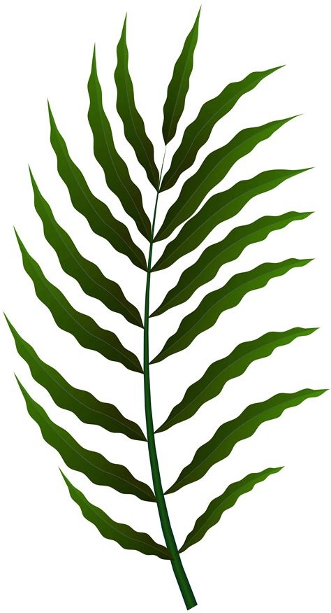 Green Leaf PNG Clip Art Image | Gallery Yopriceville - High-Quality Free Images and Transparent ...