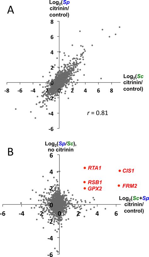 RNA-seq reveals candidate genes. A. Citrinin has largely similar... | Download Scientific Diagram