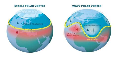 The Polar Vortex: Unraveling its Impact on Winter and Business ...