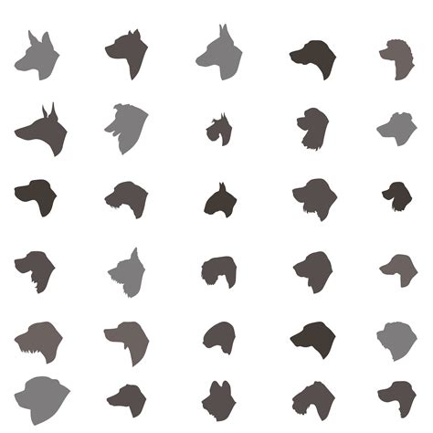 Dog head silhouette icon set Different dos breed sign 524447 Vector Art ...