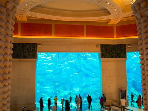 DUBAI, UAE - JANUARY 2, 2017: Atlantis, the Palm Hotel Editorial Photo - Image of aquarium ...