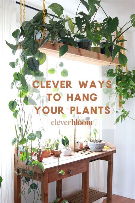 ️ 100 Beautiful Hanging Plant Stand Ideas Here Are Tips On How To ...