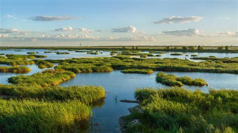 China to complete natural resources survey in October - CGTN