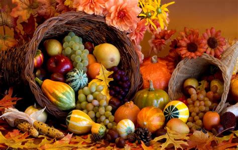 Thanksgiving Cornucopia Wallpapers - Top Free Thanksgiving Cornucopia ...