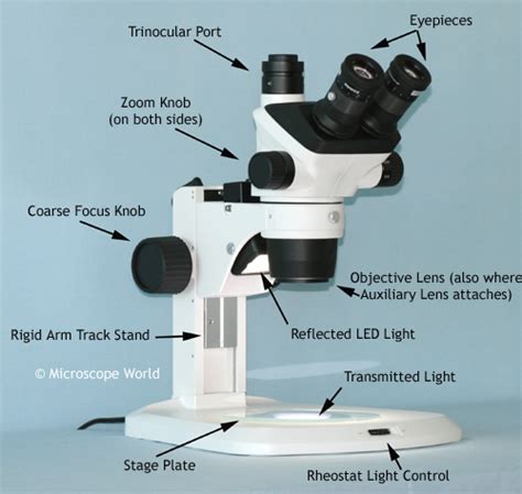 Stereo Zoom Microscope - Types Of Microscopes