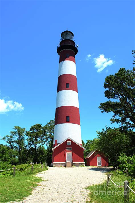 Assateague Lighthouse, Assateague Island, Virginia Photograph by Greg Hager