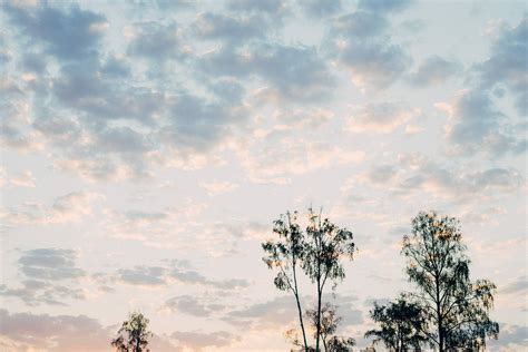 Sunrise in a forest | Free Stock Image - Barnimages