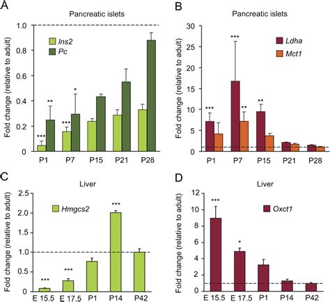 Tissue-specific disallowance of housekeeping genes: The other face of ...