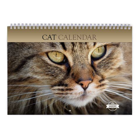 Cat 2025 Wall Calendar