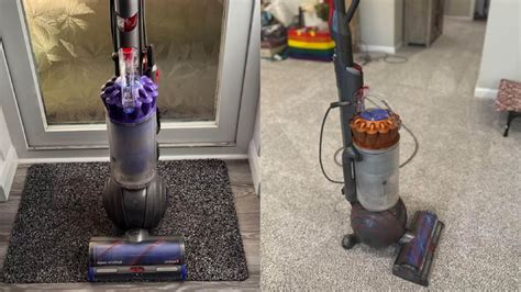 Dyson Ball Animal 2 vs 3: Find the Best Vac For Pet Hair?