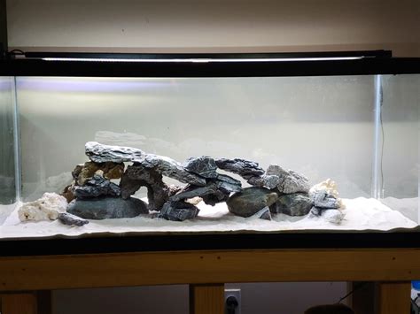 Cichlid Tank Setup Ideas