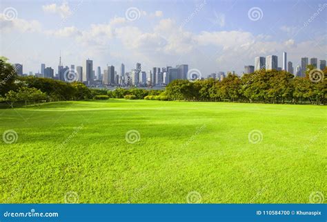 Wide Green Grass Ground of Public Park Against High Building in Stock ...