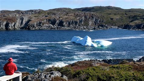 Iceberg Alley: The art of iceberg chasing in Newfoundland