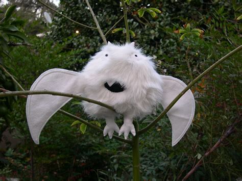 Albino Bat | Flickr - Photo Sharing!