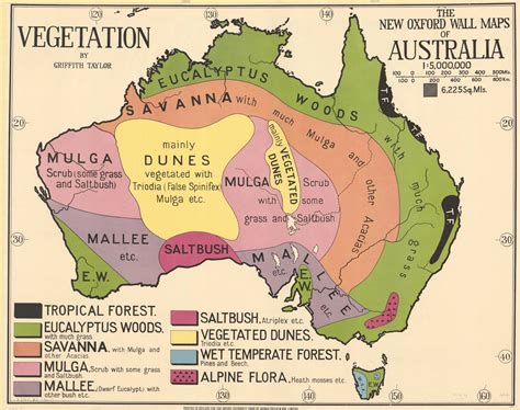 Vegetation wall map of Australia (1929) - Vivid Maps