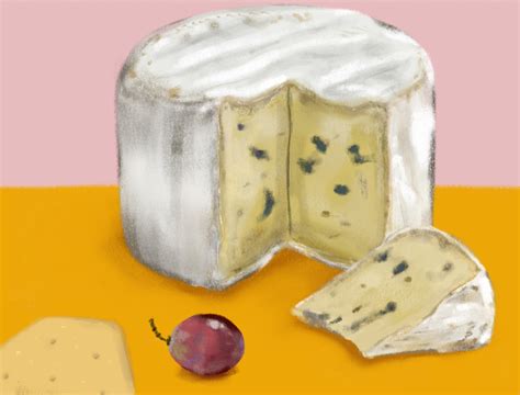 Cheese & Crackers by Christina Gliha on Dribbble