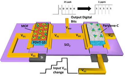 Fully Integrated Organic Field‐Effect Transistor Platform to Detect and ...