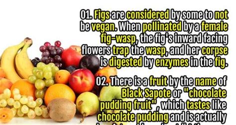 50 Interesting Facts about Fruits | Fact Republic