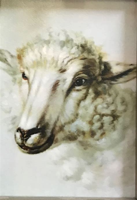 561 best images about Lamb & Sheep Art on Pinterest | Watercolors, Wool and Giclee print