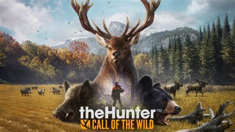 theHunter: Call of the Wild Best Hunting Spots (Diamonds & Fast Money) - SteamAH