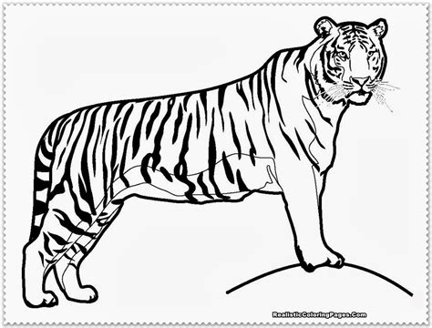 Masha Coloring Pages at GetColorings.com | Free printable colorings ...